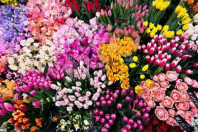 《战争机器：卡牌游戏》开启预购 售价34.99英镑